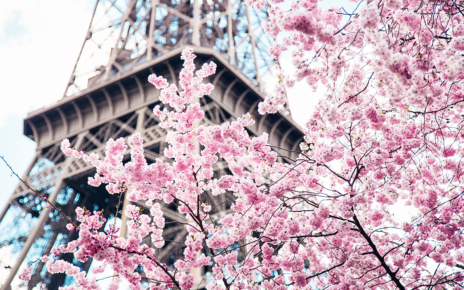 Thăm Paris mùa xuân