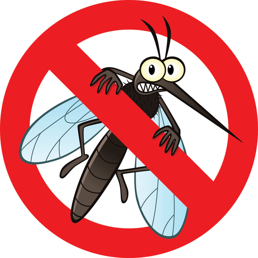 Mỗi công ty nên có một nhân viên được chỉ định chịu trách nhiệm trong công tác phòng chống muỗi vằn tại nơi làm việc.