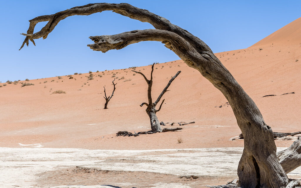 Đầm lầy chết Namibia - khu vực ngắm bầu trời rõ ràng nhất hành tinh