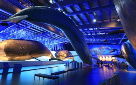 Bảo tàng cá voi The Whale