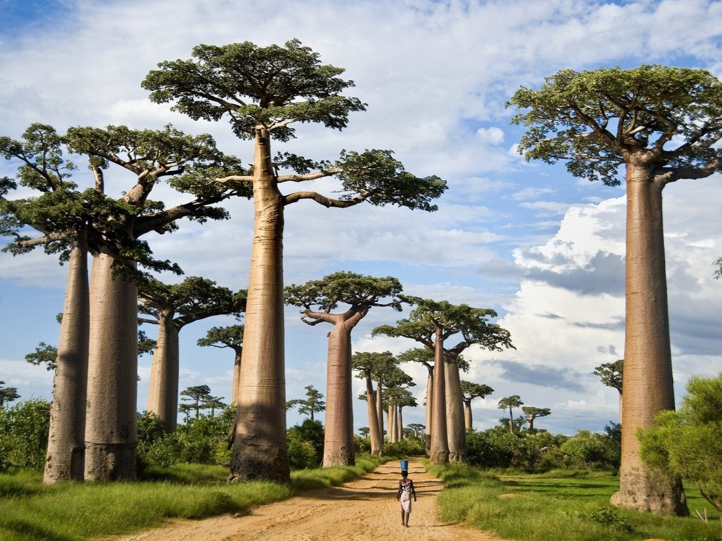 Thiên nhiên Madagascar rực rỡ