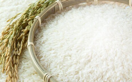 Việt Nam đứng trước nguy cơ mất quyền thi “Gạo ngon nhất thế giới”